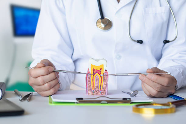 Best Emergency Dental Services for Seniors in Camanche, IA
